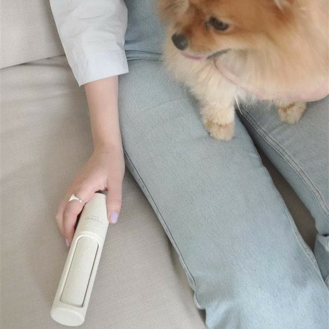 STEAMERY Clothing Brush Lint Brush Dark Grey <br>スチーマリー クロージング ブラシ リントブラシ ダークグレイ <br>SM-0411