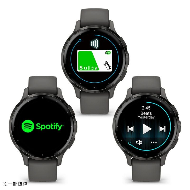 GARMIN Venu 3S Black Sesame / Slate ガーミン ヴェニュー 3S