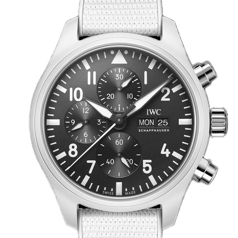 IWC PILOT’S WATCH CHRONOGRAPH  TOP GUN LAKE TAHOE アイ・ダブリュー・シー パイロット・ウォッチ・クロノグラフ・トップガン “レイク・タホ” IW389105