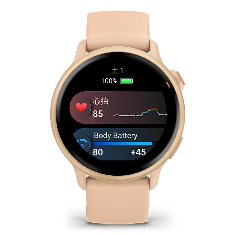 GARMIN vivoactive 6 Pink Dawn / Pink Dawn Metallic ガーミン
