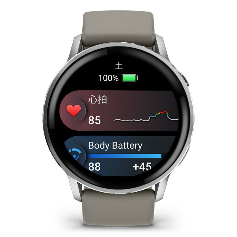 GARMIN Venu 4 45mm Silver / Gray ガーミン ヴェニュー 4 45mm シルバー / グレー 010-03014-31