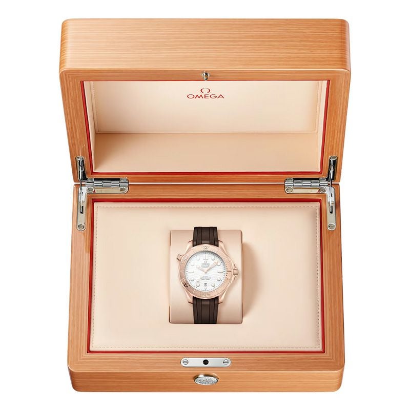 OMEGA SEAMASTER DIVER 300M オメガ シーマスター ダイバー 300M 210.52.42.20.04.001